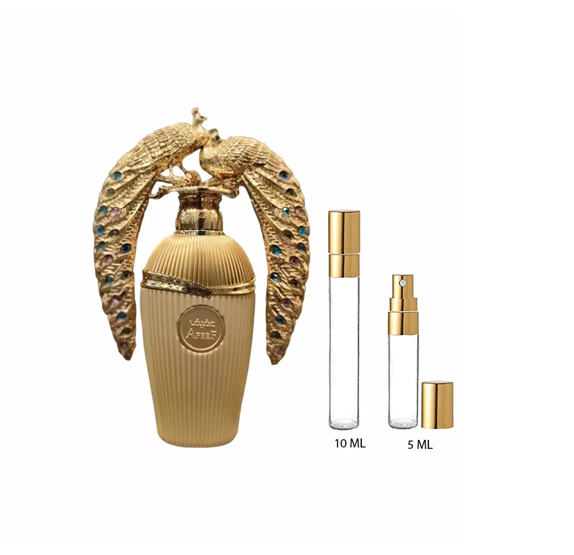 AFEEF LATTAFA - Imagen 3