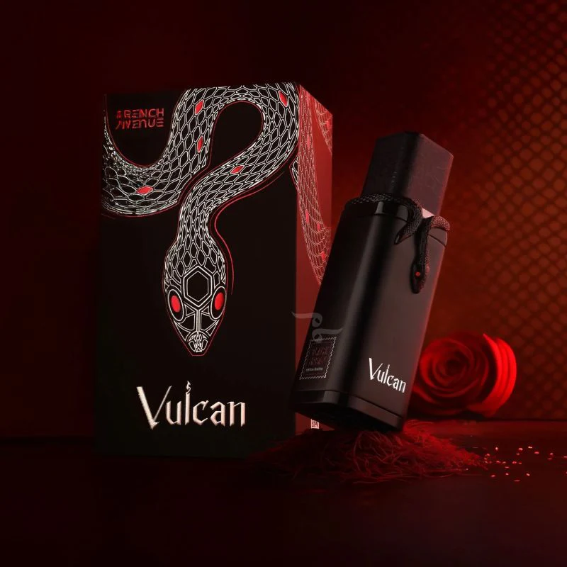 VULCAN BLACK FRIDAY FRENCH AVENUE - Imagen 4